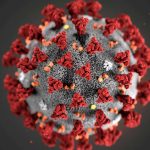 Новые прогнозы на 2020 год: коронавирус спутал планы